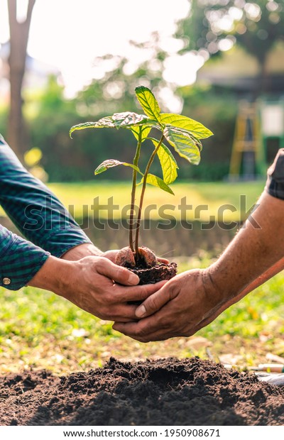 World environment day afforestation nature and\
ecology concept The male volunteer are planting seedlings and trees\
growing in the ground while working in the garden to save Earth,\
Earth Day.
