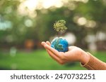 World environment day, B roll - hands of woman holding globe with tree on green tree bokeh background, ecology concept, earth day, Better Environment, copy space.