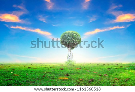 World environment day concept:  alone tree on beautiful meadow wallpaper background