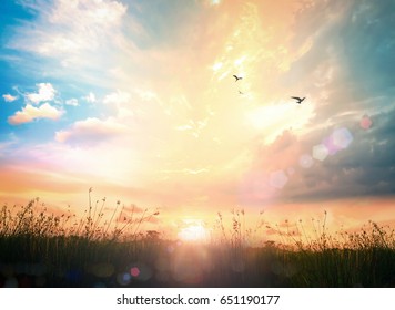 World environment day concept: Beauty morning meadow with bird flying on sky sunrise wallpaper background - Powered by Shutterstock