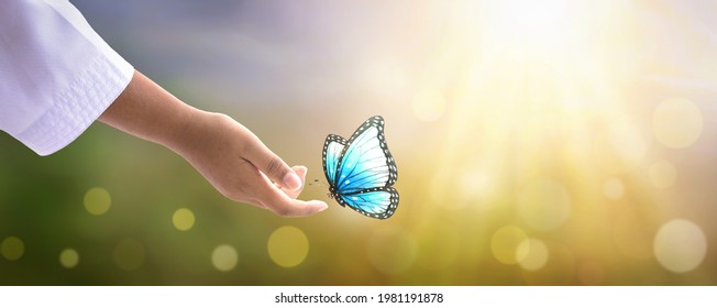 World environment day concept: Butterfly on hand in nature of sunlight in summer in the spring background - Shutterstock ID 1981191878
