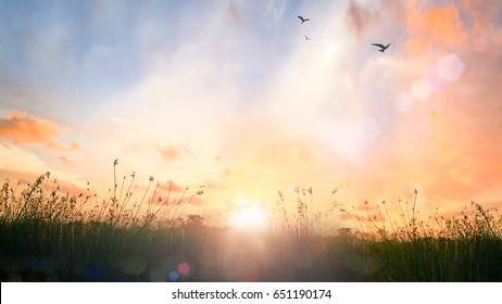 World environment day concept: Calm of country meadow sunrise landscape background - Shutterstock ID 651190174