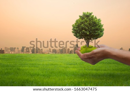 World Environment Day concept: hands holding big tree over city background.