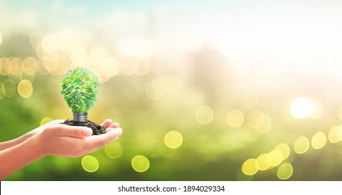 World environment day concept: Human hand holding light bulb of tree on blurred nature background