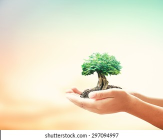 World Environment Day Concept: Human Hand Hold Big Tree Over Blur Nature Background