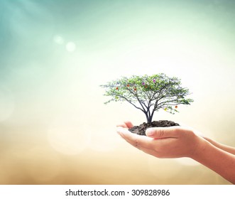 World environment day concept: Human hand holding growing tree over nature background - Shutterstock ID 309828986