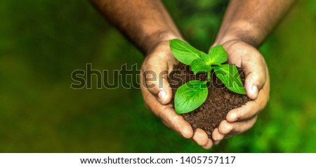 World Environment Day concept image save nature holding hand with tree earthday image 