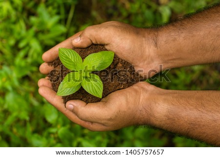 World Environment Day concept image save the nature holding hand with tree earthday image 