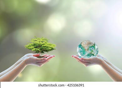 World environment day concept with tree planting and green earth on volunteering hands for ecological sustanability, environmental saving, CSR, ESG awareness. Element of the image furnished by NASA - Shutterstock ID 425106391