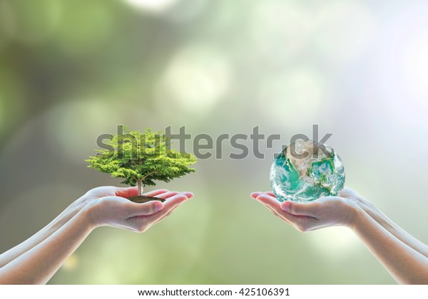 World environment day concept with tree planting and\
green earth on volunteering hands for ecological sustanability,\
environmental saving, CSR, ESG awareness. Element of the image\
furnished by NASA
