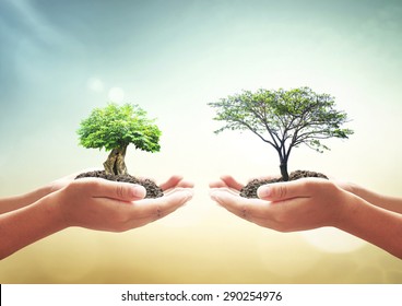 World environment day concept: Two human hands holding big tree over blurred nature background - Shutterstock ID 290254976