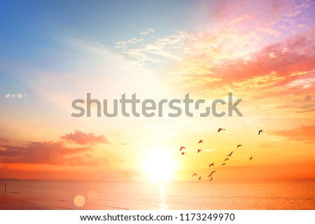 World Environment Day concept:Sunset / sunrise with clouds