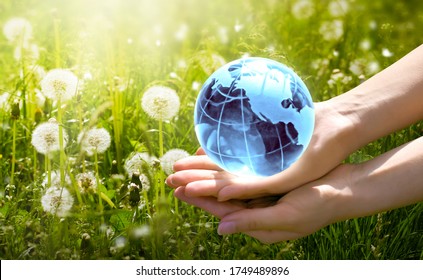 World Environment Day or Earth Day concept. Saving planet, save, protect clean nature and ecology, sustainable lifestyle. Blue glass globe in woman hands on green grass and dandelions background.