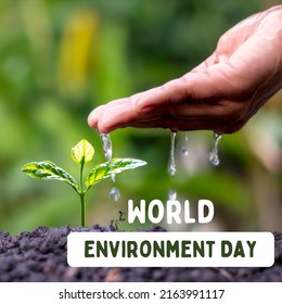 World Environment Day Poster Hand Watering Stock Photo 2163991117 ...