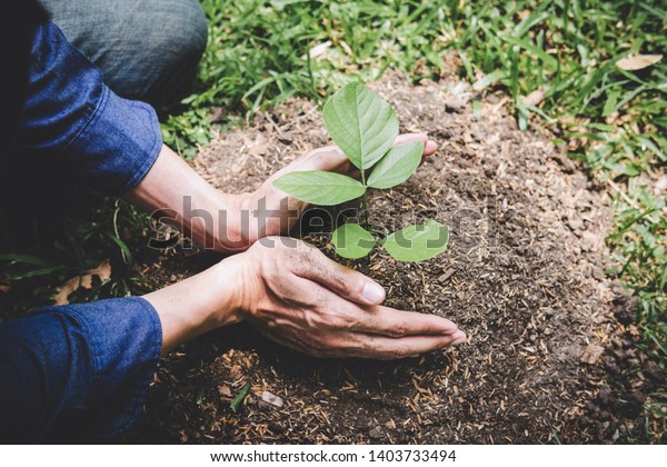 World environment day reforesting, Hands of\
young man were planting the seedlings and tree growing into soil\
while working in the garden as save the world, earth day, nature\
and ecology concept.