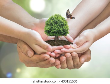 World environment day and sustainable environment concept in father - children's volunteer hands