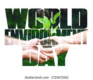 World Environment Day Text, Old And Young Hands, Green Sprout, White Background. Elcology, Hunger, Poorness, Need. Team Work, Sea, Plastic Pollution, Charity, Compassion, Overpopulation, Virus.