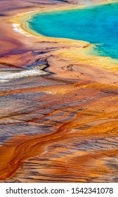  World Famous Grand Prismatic Spring in Yellowstone National Park