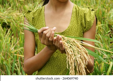 World Food Security, A Global Problem, Famine At Africa, Children Need To Help, Poor People Need Food To Live, Kid Hand With Sheaf Of Paddy On Asia Rice Field