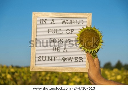 IN A WORLD FULL OF ROSES BE A SUNFLOWER text on white board next to sunflower field. Motivational caption inspirational quote. Be unique saying phrase humor concept. Sunny summer
