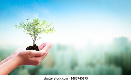 World Habitat Day Concept: Human Hand Holding  Tree Over City  Background