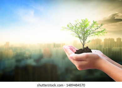 World Habitat Day concept: Human hand holding  tree over city  background - Shutterstock ID 1489484570