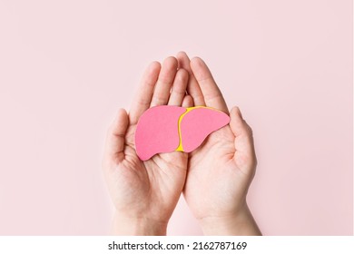 World hepatitis day. Adult hands holding donation liver on pink background. Awareness of prevention and treatment viral hepatitis. Liver cancer. World cancer day. copy space. banner