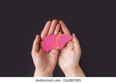 World hepatitis day. Adult hands holding donation liver on black background. Awareness of prevention and treatment viral hepatitis. Liver cancer. World cancer day. banner. copy space