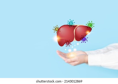 World hepatitis day concept. Doctor hands holding liver with virus symbol for diagnosis types of viral hepatitis that causes liver cancer. Awareness of prevention and treatment viral hepatitis.