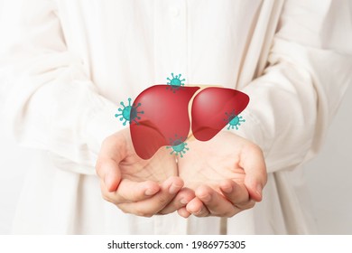 World hepatitis day concept. Human hands holding liver with viral infection symbol. Awareness of prevention and treatment viral hepatitis that causes liver cancer. Health care and medical.