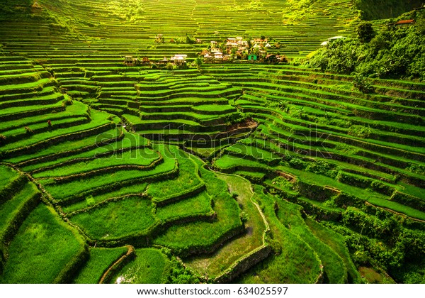World heritage Ifugao rice terraces in\
Batad, northern Luzon,\
Philippines.