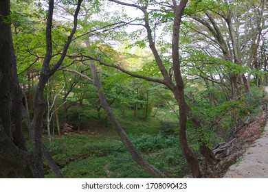 World Heritage Site Seokguram Grotto