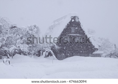 The world heritage which was buried among snow