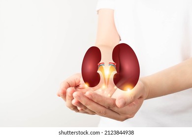 World Kidney Day. Woman Hands Holding Healthy Kidney Anatomy. Kidney Disease Treatment, Renal Transplant Or Organ Donation Concept.