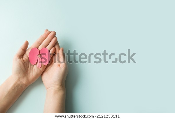 World kidney day. Woman holding kidney shaped\
paper on blue background. National Organ Donor Day. Kidney health\
concept. top view banner. copy\
space