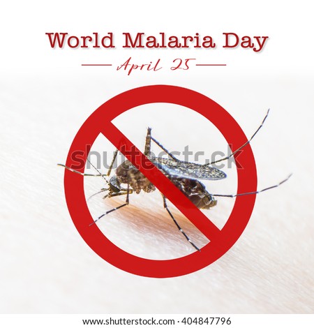 World malaria day, no mosquito