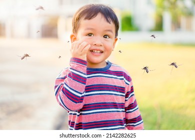 World Malaria Day.Mosquitoes Bite Kid Child Boy On Face.Mosquito Blood Breeding On Kids.Repellent, Dengue Virus, Yellow Fever, Malaria Vaccine Mosquitoes Concept.Cream And Spray Repellent.Skin Allergy