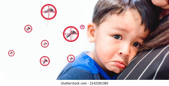 World malaria day.Mosquitoes bite kid child boy on face.Mosquito blood breeding on kids.Repellent, Dengue virus, Yellow fever, Malaria vaccine Mosquitoes concept.Cream and Spray repellent.Skin allergy