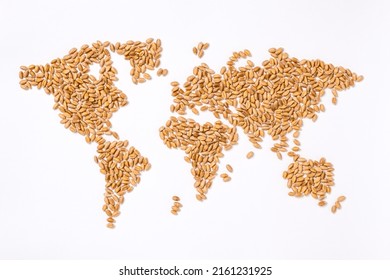 World map made of wheat grains. Grain continents. Concept of global food scarcity and hunger, export and food supply chain