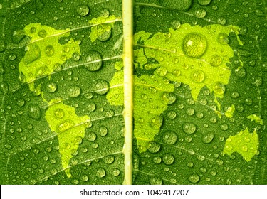 World Map on Green Leaf with Water Drops, Water and Earth Day Concept