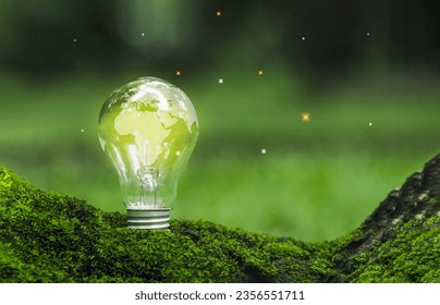 The world map on Lit light bulb on mossy tree. concept of Renewable energy, sustainable energy sources, Environmental protection, Green business, Sustainable development goals and saving energy.