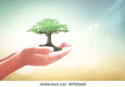 World mental health day concept: Worker hand holding big tree over blurred nature background - Shutterstock ID 407035660