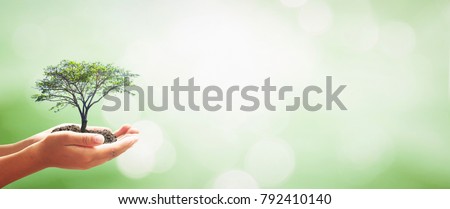 World mental health day concept: Human hands holding big growth plant over green forest background