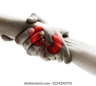 World Organ Donation Day concept with a kidney for transplant, saving life, and help