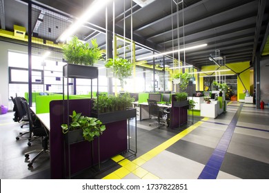 World pandemic, coronacrisis. Empty workplaces in modern office with plants, rental office - Powered by Shutterstock