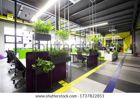 World pandemic, coronacrisis. Empty workplaces in modern office with plants, rental office