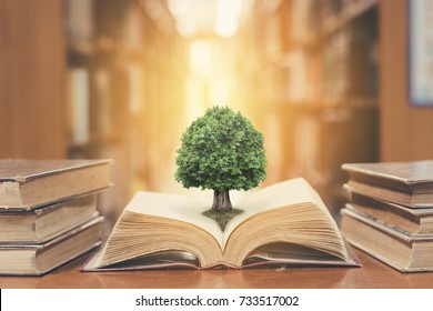 World philosophy day education concept with tree of knowledge planting on opening old big book in library with textbook, stack piles of text archive and aisle of bookshelves in school study class room - Shutterstock ID 733517002
