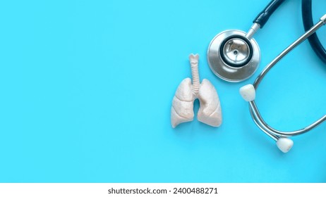 World pneumonia day,tuberculosis TB day,Lung Health Day,asthma day. Medical examine. Healthcare banner. Human lungs model and stethsocope over blue background. - Powered by Shutterstock