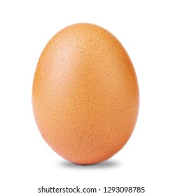 World Record Egg