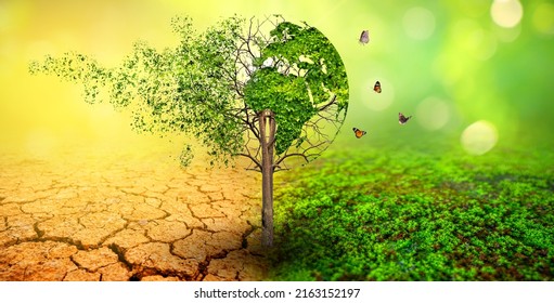 World That Collapsing Disintegrating Concept Environmental Stock Photo ...